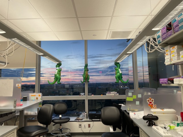 Lab sunset view
