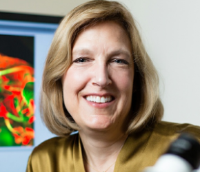 Dr. Engle elected to the American Academy of Arts & Science