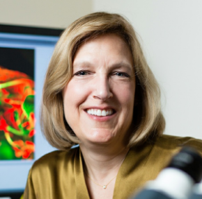 Dr. Engle elected to the American Academy of Arts & Science